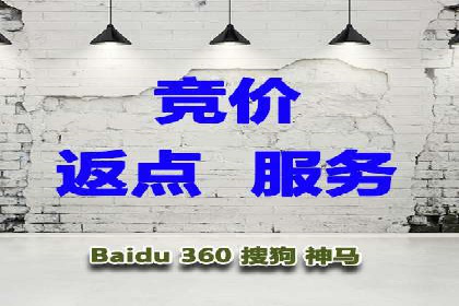 SEM竞价代运营：案例展示数据分析与应用